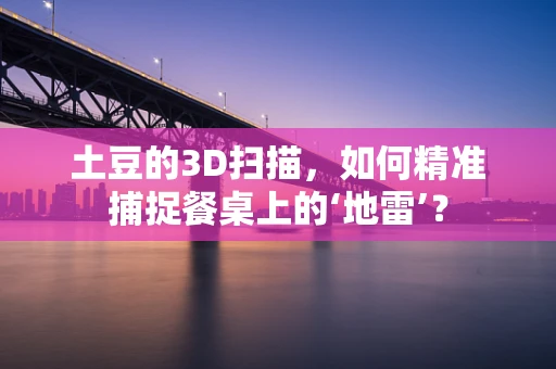 土豆的3D扫描，如何精准捕捉餐桌上的‘地雷’？