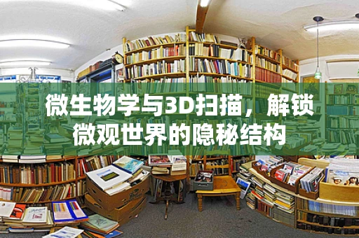 微生物学与3D扫描，解锁微观世界的隐秘结构