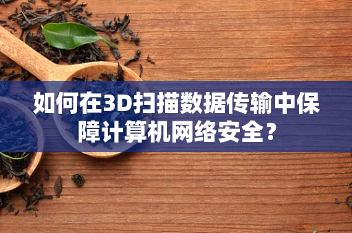 如何在3D扫描数据传输中保障计算机网络安全？