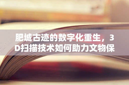 肥城古迹的数字化重生，3D扫描技术如何助力文物保护？