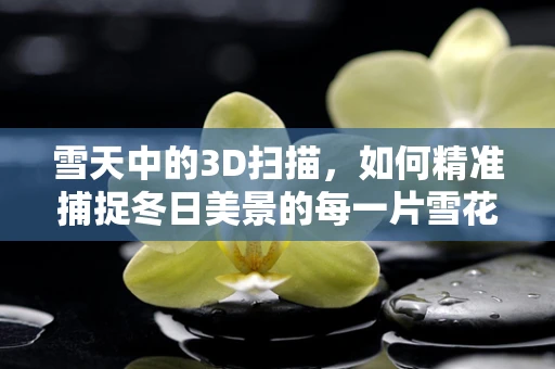 雪天中的3D扫描，如何精准捕捉冬日美景的每一片雪花？