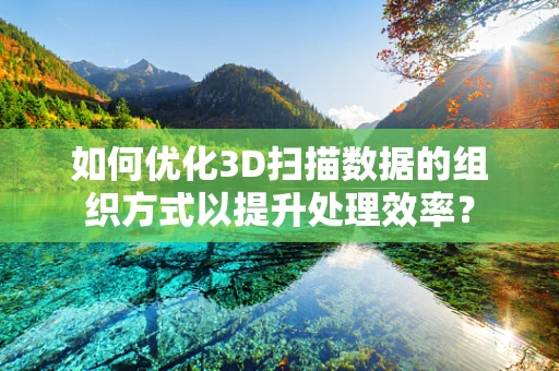 如何优化3D扫描数据的组织方式以提升处理效率？