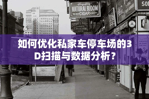 如何优化私家车停车场的3D扫描与数据分析？
