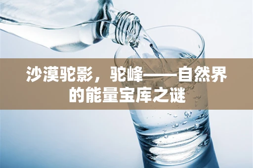 沙漠驼影，驼峰——自然界的能量宝库之谜