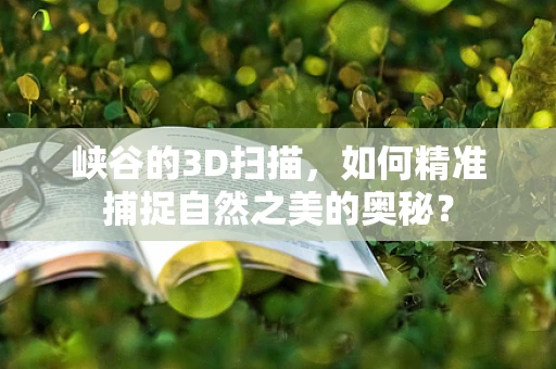 峡谷的3D扫描，如何精准捕捉自然之美的奥秘？