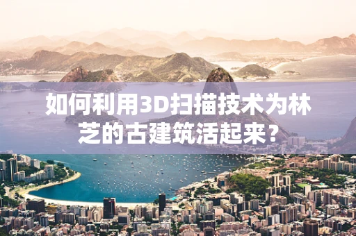 如何利用3D扫描技术为林芝的古建筑活起来？