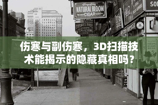 伤寒与副伤寒，3D扫描技术能揭示的隐藏真相吗？
