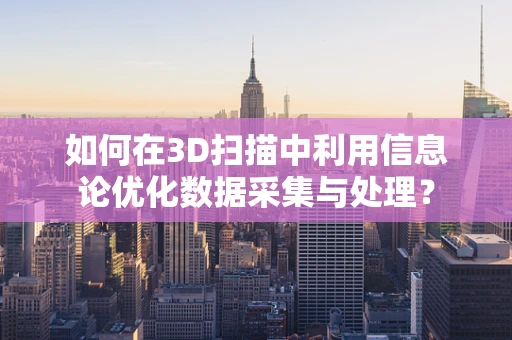 如何在3D扫描中利用信息论优化数据采集与处理？