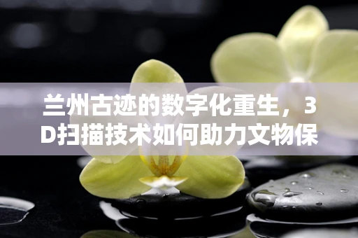 兰州古迹的数字化重生，3D扫描技术如何助力文物保护？