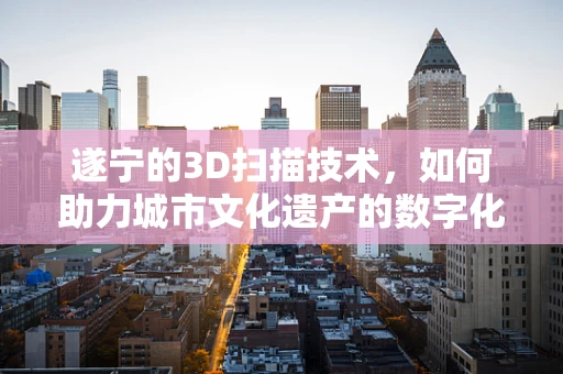 遂宁的3D扫描技术，如何助力城市文化遗产的数字化保护？