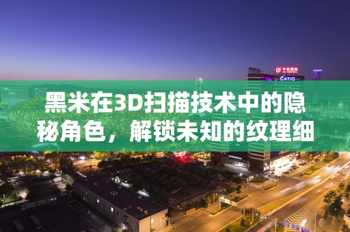 黑米在3D扫描技术中的隐秘角色，解锁未知的纹理细节