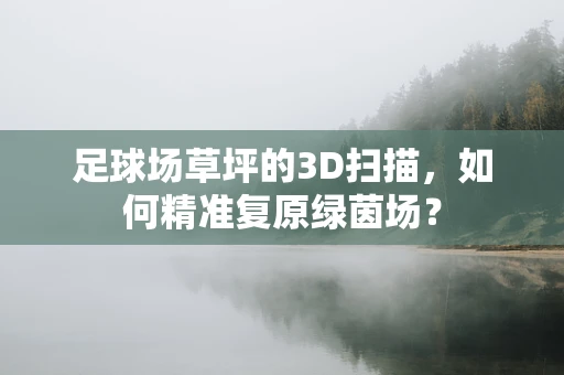 足球场草坪的3D扫描，如何精准复原绿茵场？
