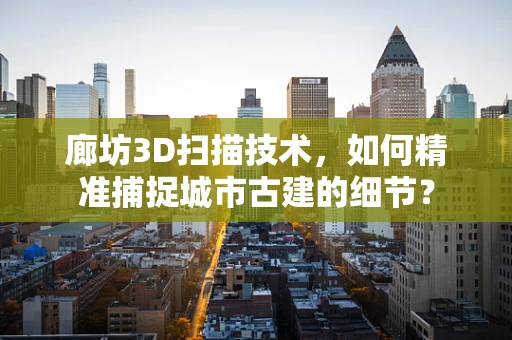廊坊3D扫描技术，如何精准捕捉城市古建的细节？