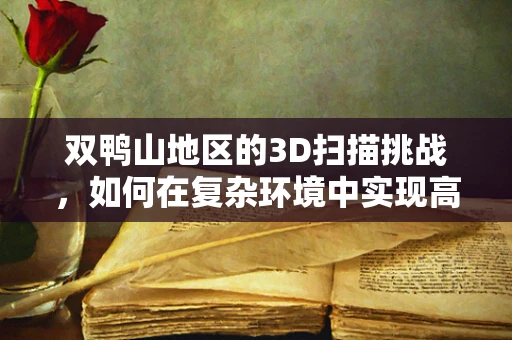 双鸭山地区的3D扫描挑战，如何在复杂环境中实现高精度扫描？