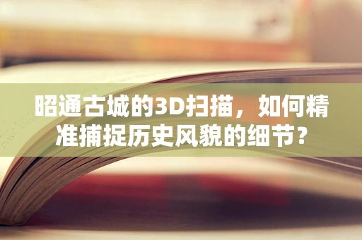 昭通古城的3D扫描，如何精准捕捉历史风貌的细节？