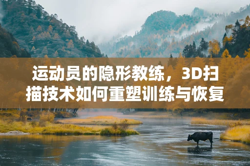 运动员的隐形教练，3D扫描技术如何重塑训练与恢复？