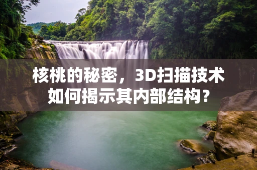 核桃的秘密，3D扫描技术如何揭示其内部结构？