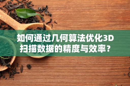 如何通过几何算法优化3D扫描数据的精度与效率？