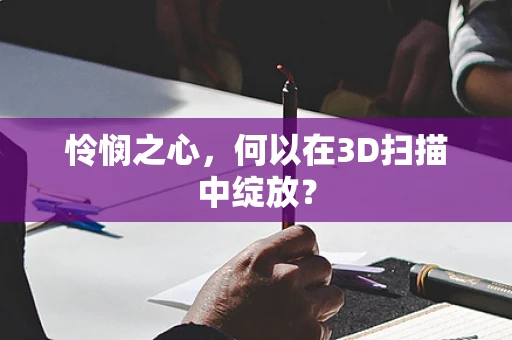 怜悯之心，何以在3D扫描中绽放？