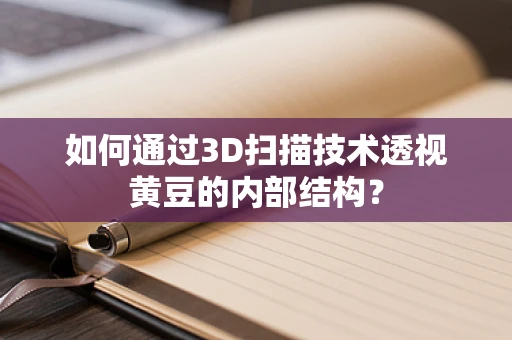 如何通过3D扫描技术透视黄豆的内部结构？