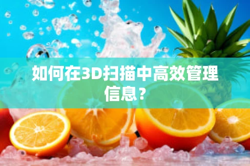 如何在3D扫描中高效管理信息？