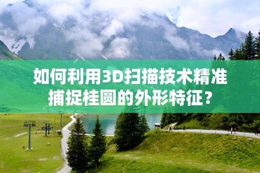 如何利用3D扫描技术精准捕捉桂圆的外形特征？