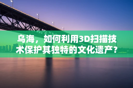 乌海，如何利用3D扫描技术保护其独特的文化遗产？