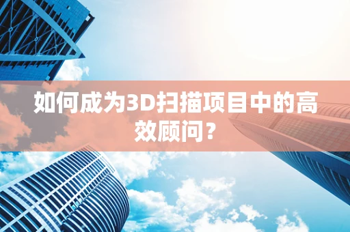 如何成为3D扫描项目中的高效顾问？