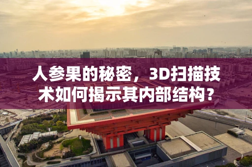 人参果的秘密，3D扫描技术如何揭示其内部结构？