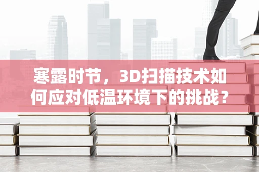 寒露时节，3D扫描技术如何应对低温环境下的挑战？