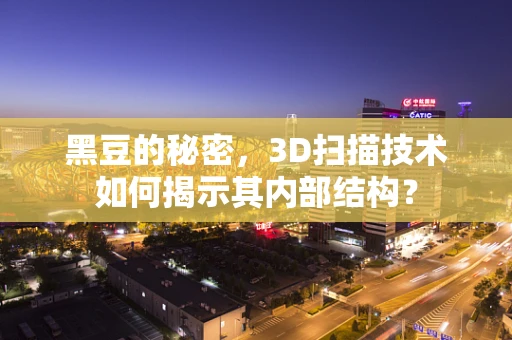 黑豆的秘密，3D扫描技术如何揭示其内部结构？
