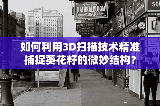 如何利用3D扫描技术精准捕捉葵花籽的微妙结构？