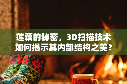 莲藕的秘密，3D扫描技术如何揭示其内部结构之美？