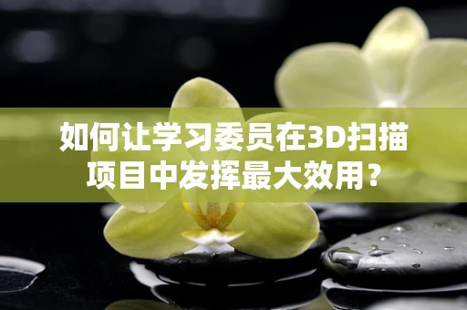 如何让学习委员在3D扫描项目中发挥最大效用？