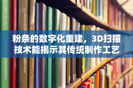 粉条的数字化重建，3D扫描技术能揭示其传统制作工艺的秘密吗？