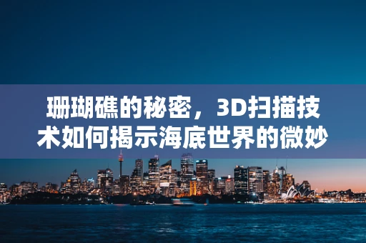 珊瑚礁的秘密，3D扫描技术如何揭示海底世界的微妙结构？