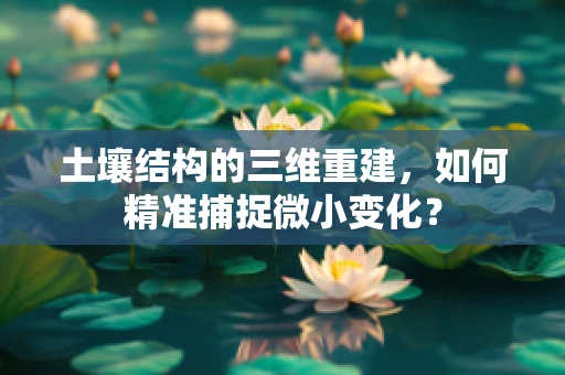土壤结构的三维重建，如何精准捕捉微小变化？
