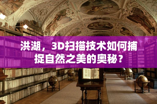 洪湖，3D扫描技术如何捕捉自然之美的奥秘？