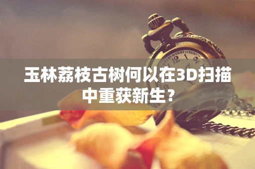 玉林荔枝古树何以在3D扫描中重获新生？