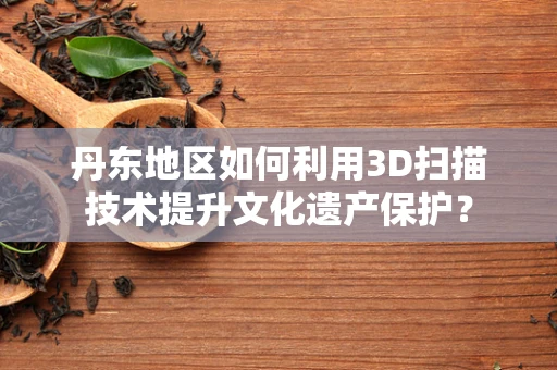 丹东地区如何利用3D扫描技术提升文化遗产保护？