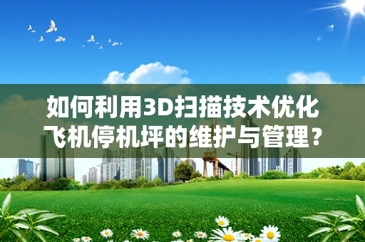 如何利用3D扫描技术优化飞机停机坪的维护与管理？