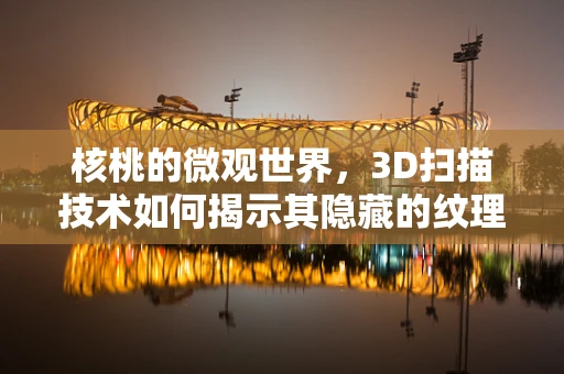 核桃的微观世界，3D扫描技术如何揭示其隐藏的纹理与结构？