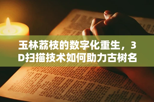玉林荔枝的数字化重生，3D扫描技术如何助力古树名木保护？