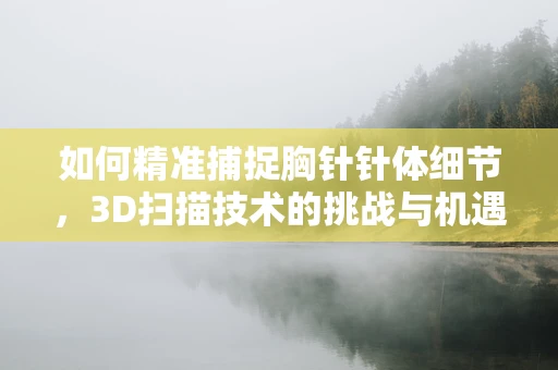 如何精准捕捉胸针针体细节，3D扫描技术的挑战与机遇？