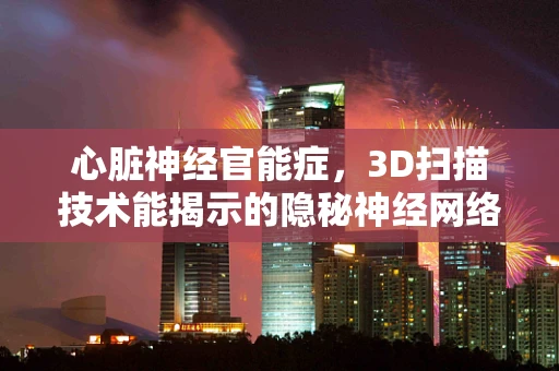 心脏神经官能症，3D扫描技术能揭示的隐秘神经网络吗？