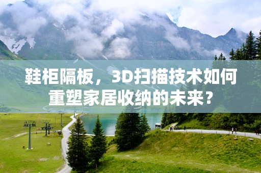 鞋柜隔板，3D扫描技术如何重塑家居收纳的未来？
