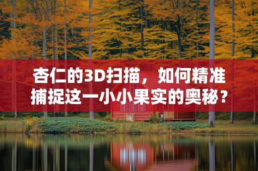 杏仁的3D扫描，如何精准捕捉这一小小果实的奥秘？