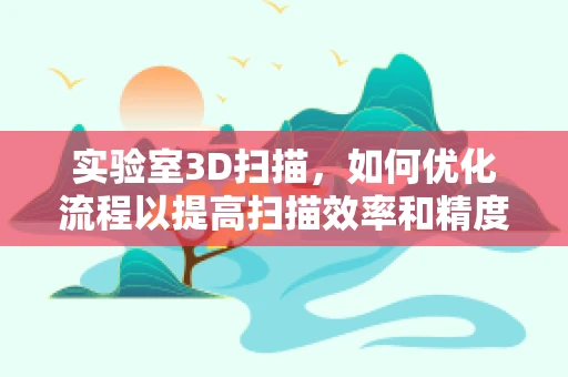 实验室3D扫描，如何优化流程以提高扫描效率和精度？
