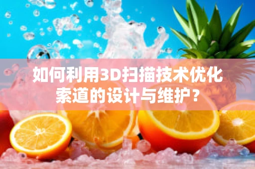 如何利用3D扫描技术优化索道的设计与维护？