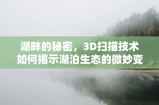 湖畔的秘密，3D扫描技术如何揭示湖泊生态的微妙变化？